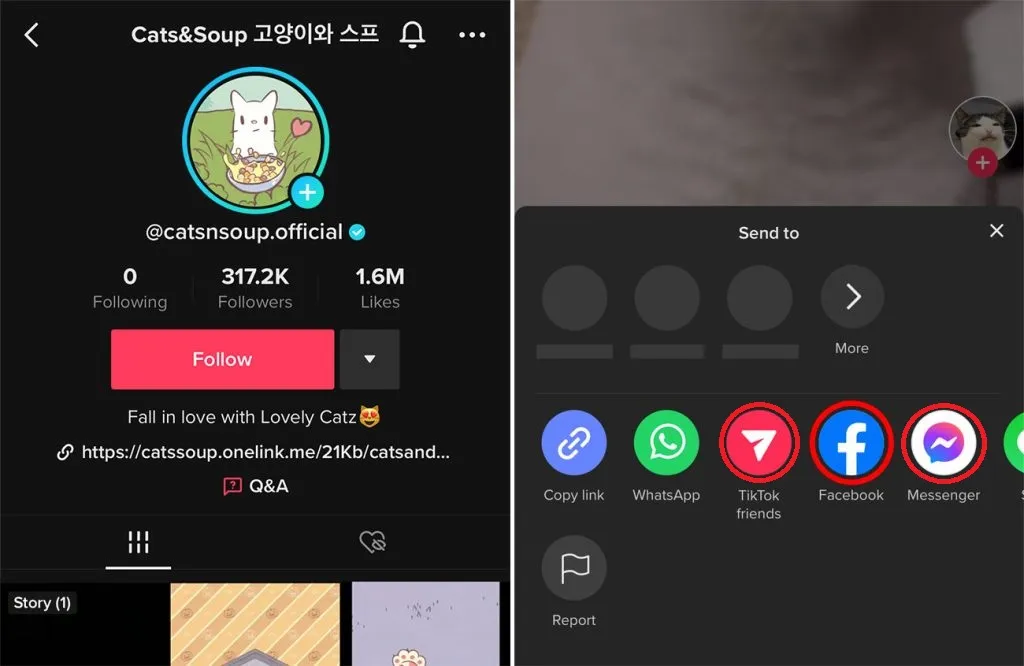 1. Tận dụng 30 phút vàng sau khi đăng video