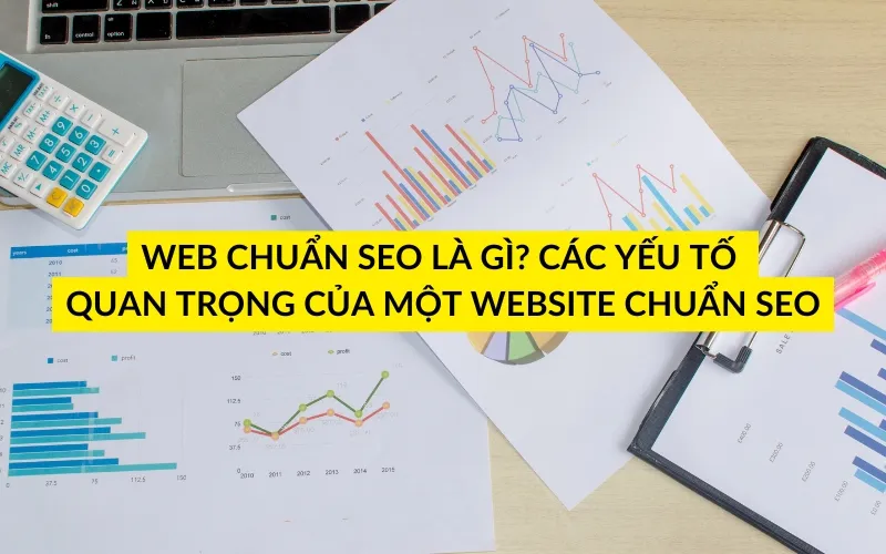Các yếu tố quan trọng trong cấu trúc website chuẩn SEO