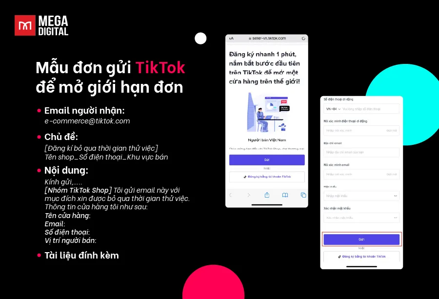 Mẫu email xin mở giới hạn đơn hàng gửi TikTok Shop