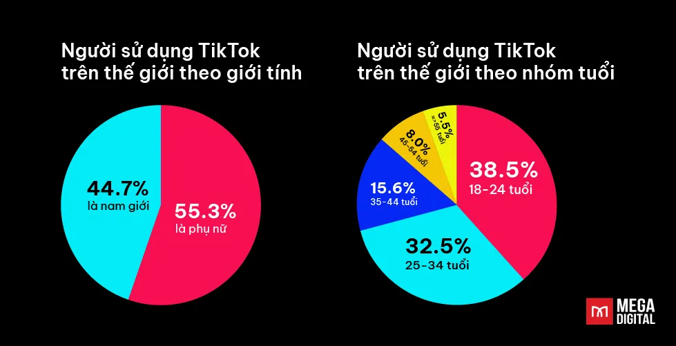 Thống kê số liệu người dùng TikTok cho thấy tiềm năng kinh doanh lớn