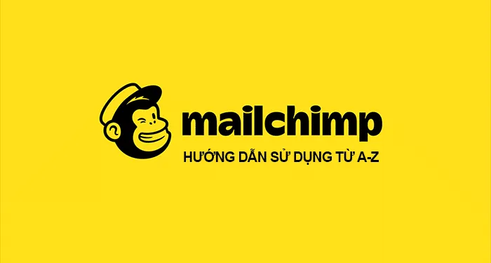 Tổng quan công dụng chính của Mailchimp trong chiến lược Digital Marketing