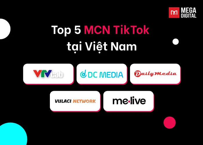 Top 5 MCN TikTok tại Việt Nam